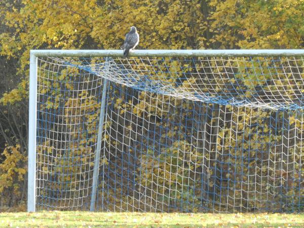 Sportanlage Kruckweg B-Platz - Braunschweig-Broitzem