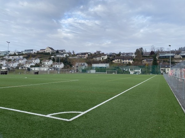 Sportplatz Hofmatt Kunstrasenplatz - Meggen