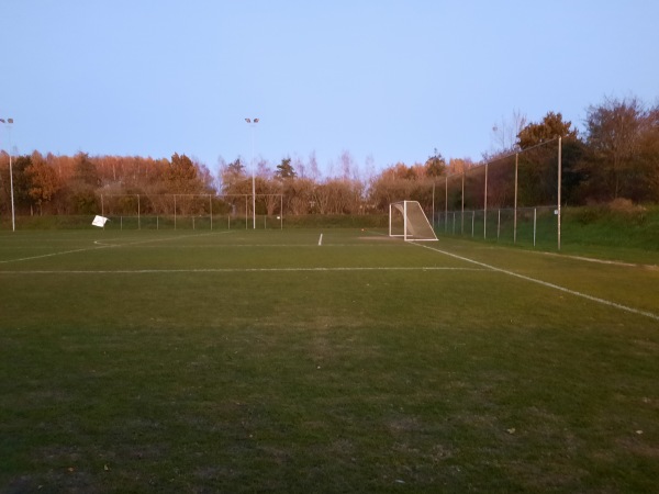 Sportpark Skoatterwâld veld D - Heerenveen