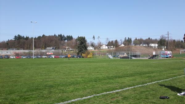 Sportplatz Halsrüti - Brüttisellen