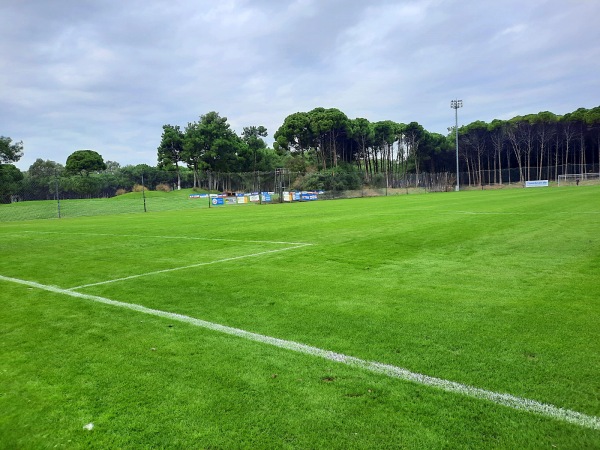Kaya Palazzo Football Center field D - Serik/Antalya