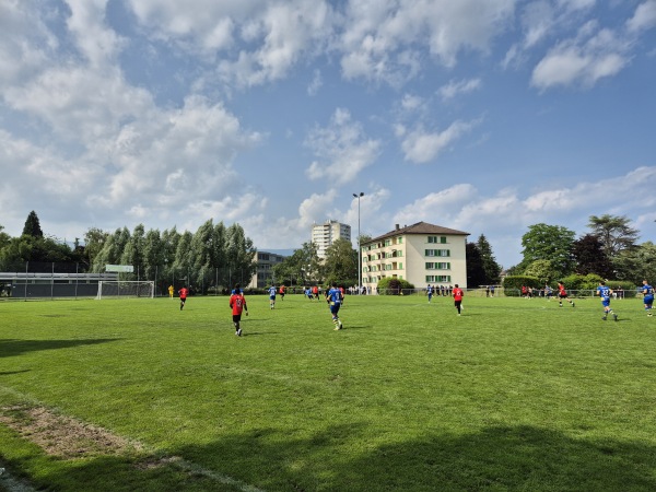 Terrain des Iles - Yverdon-les-Bains
