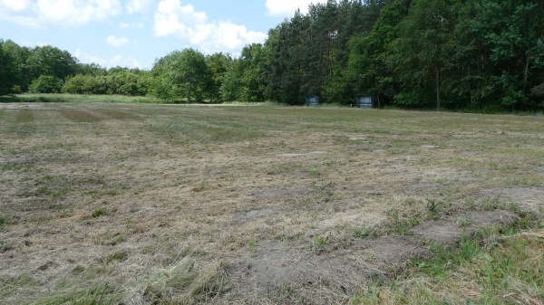 Stadion Borowianka Borowa - Borowa