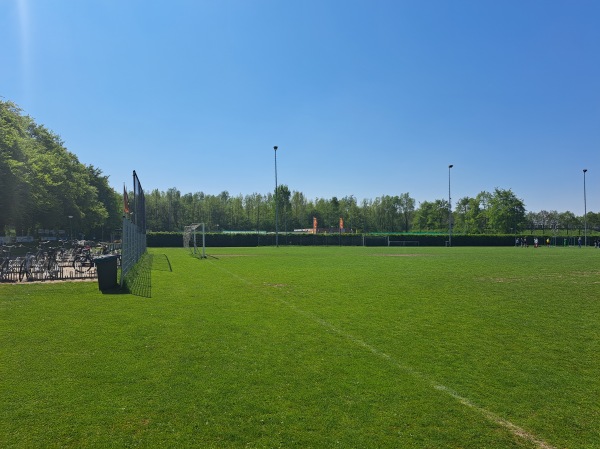Sportpark Henk Bruins Sappemeer veld 3 - Midden-Groningen-Sappemeer