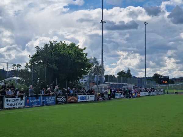 Sportplatz Beichlen - Wädenswil
