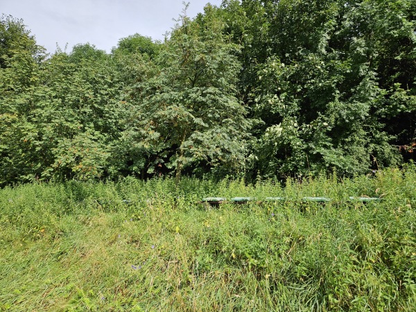 Boisko Pawłowiczki - Pawłowiczki