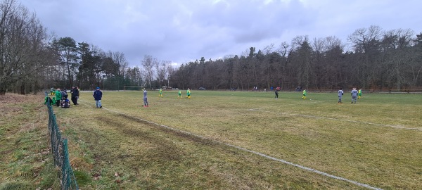 Waldstadion Nebenplatz - Crinitz