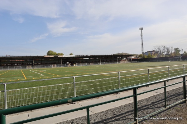 Mijnstadion - Beringen-Mijn