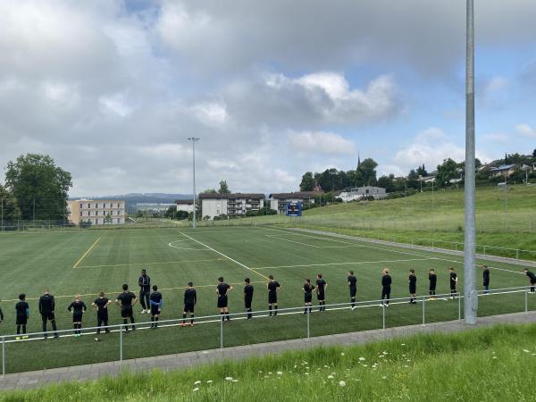 Stade du Platy terrain synthétique - Villars-sur-Glâne