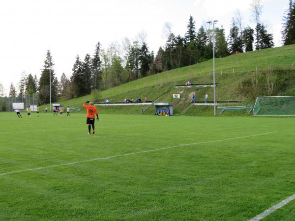 Waldstadion - Langenegg-Lingenau