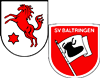 Wappen SGM Äpfingen/Baltringen Reserve (Ground A)  99093