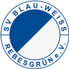 Wappen SV Blau-Weiß Rebesgrün 2004 diverse  48212