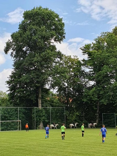 Sportplatz am Schloß - Schöpstal-Kunnersdorf