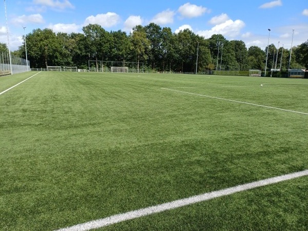 Sportpark Tijenraan veld 5 - Raalte 
