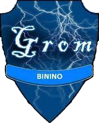 Wappen KS Grom Binino  118385