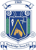 Wappen Newbridge Town FC