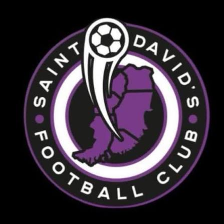 Wappen St Davids City FC