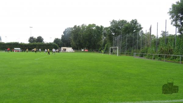 Kälberweide am Oberschwabenstadion - Bad Saulgau