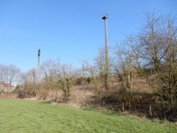 Stadion Sportpleinstraat - Tongeren