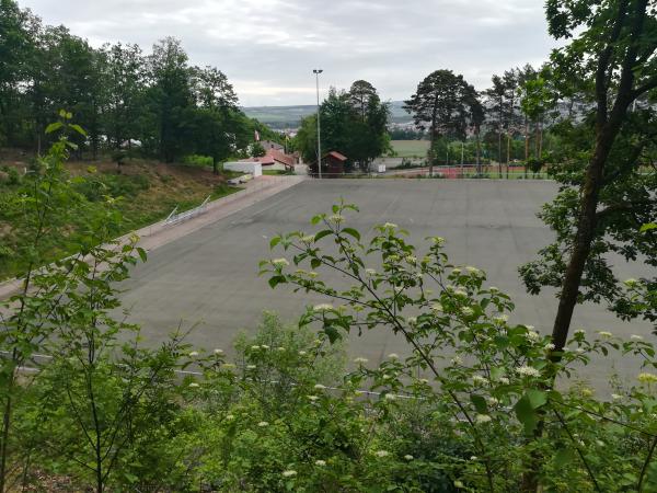 Waldstadion Nebenplatz 1 - Eisenberg/Pfalz