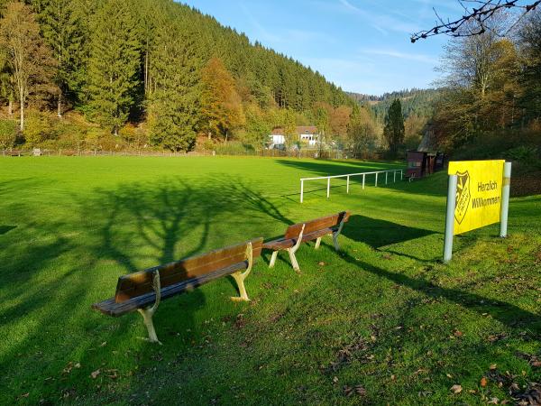 Sportplatz An der Mühlwiese - Osterode/Harz-Lerbach