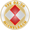 Wappen TSV 03/30 Michelbach  951