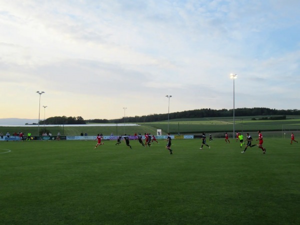 Stade du Marais - Thierrens