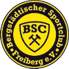 Wappen Bergstädtischer SC Freiberg 95