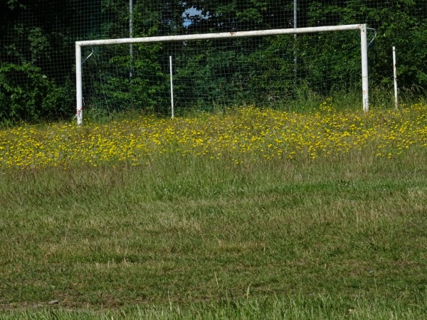 Alter Sportplatz Altenhain - Chemnitz-Altenhain