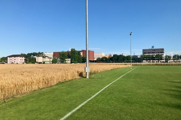 Sportplatz Wynenfeld Nebenplatz - Buchs AG