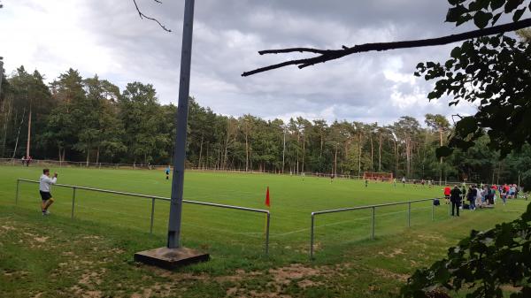 Waldstadion Nebenplatz - Bad Liebenwerda