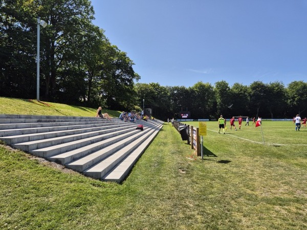 Lars R. Jacobsen Park. - Odense-Dalum