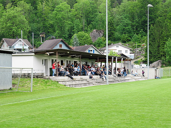 Sportplatz Tierpark - Arth-Goldau