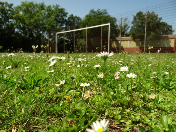 Sportplatz Görtzhof - Duisburg-Wanheim