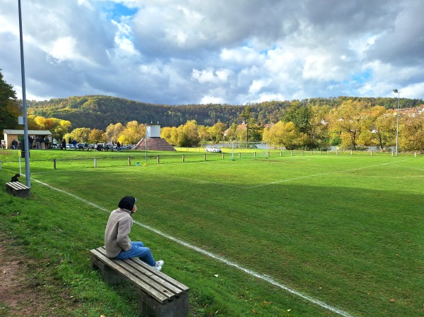 Neckarstadion - Obrigheim/Baden-Mörtelstein