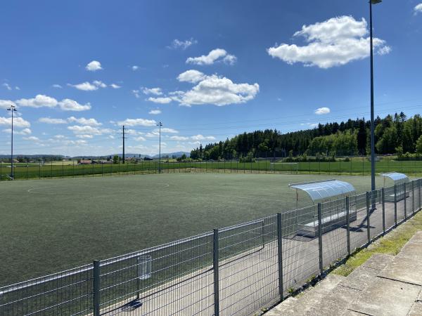 Sportanlage Rolli Kunstrasenplatz - Seuzach
