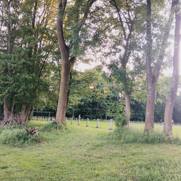Sportanlage Blumenhaller Weg B-Platz - Osnabrück-Wüste