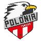 Wappen FC Polonia Münster 2018