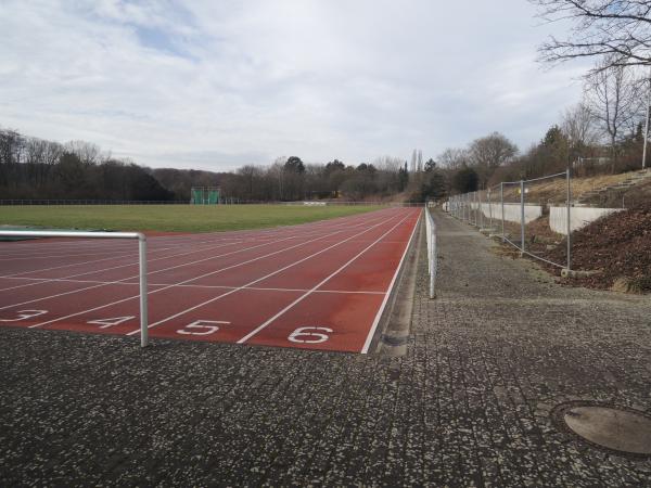 Limes-Stadion - Schwalbach/Taunus