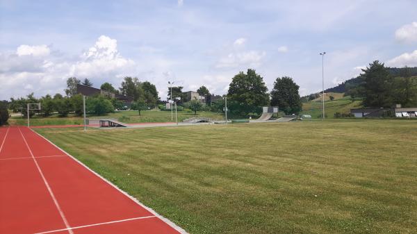 Sportplatz Schlafapfelbaum - Eglisau