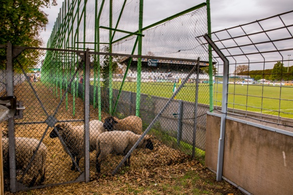 Rudolf-Kalweit-Stadion - Hannover-Bult