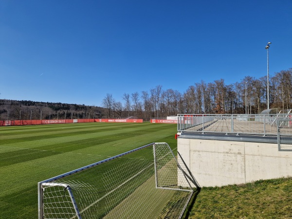 Voith-Arena Rasen-West Platz 2 - Heidenheim/Brenz