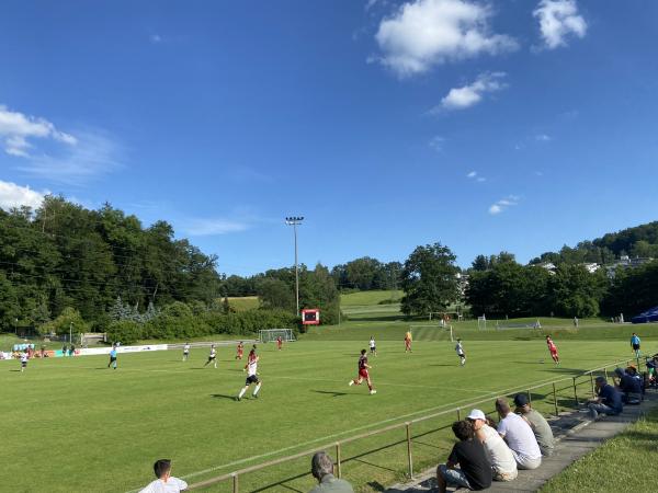 Sportplatz Tal - Adliswil