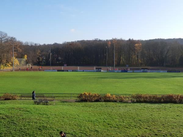 Sportgelände am Schloß - Schöneck/Hessen-Büdesheim