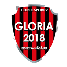 Wappen CS Gloria 2018 Bistrița-Năsăud  5190