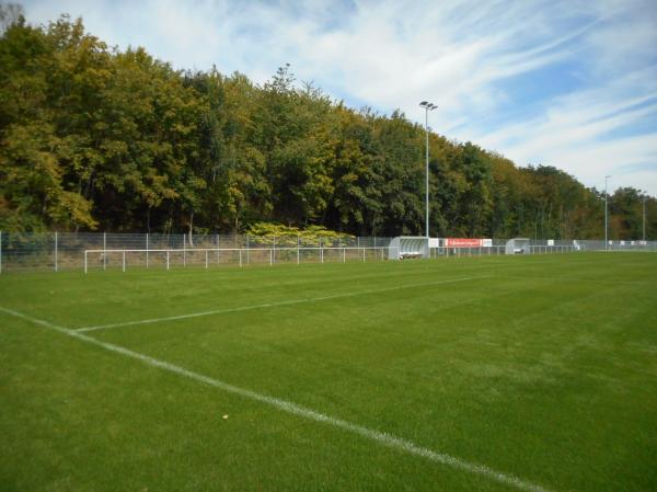 FV-Sportanlage - Rasenplatz am Berg - Löchgau