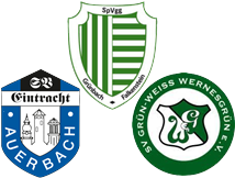 Wappen SG Grünbach-Falkenstein III / Eintracht Auerbach II / Wernesgrün II (Ground A)
