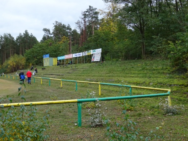 Waldstadion - Hohenbocka