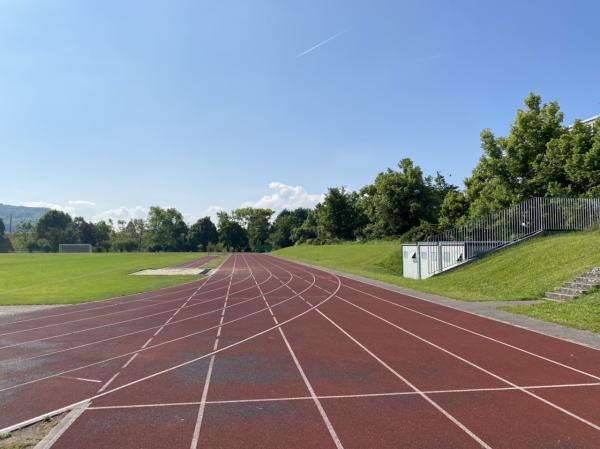 Sportplatz Bäumlihof - Basel