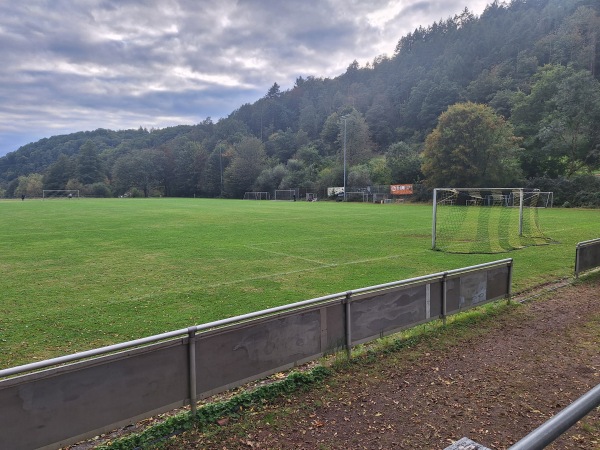 Sportplatz Wiesenweg - Arzbach